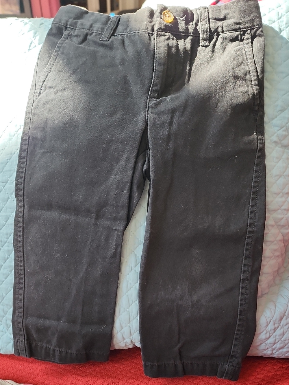 3T Tommy Hilfiger Straight Leg Khakis in Black
